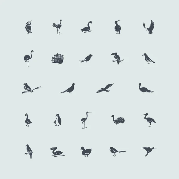 Set van vogels pictogrammen — Stockvector