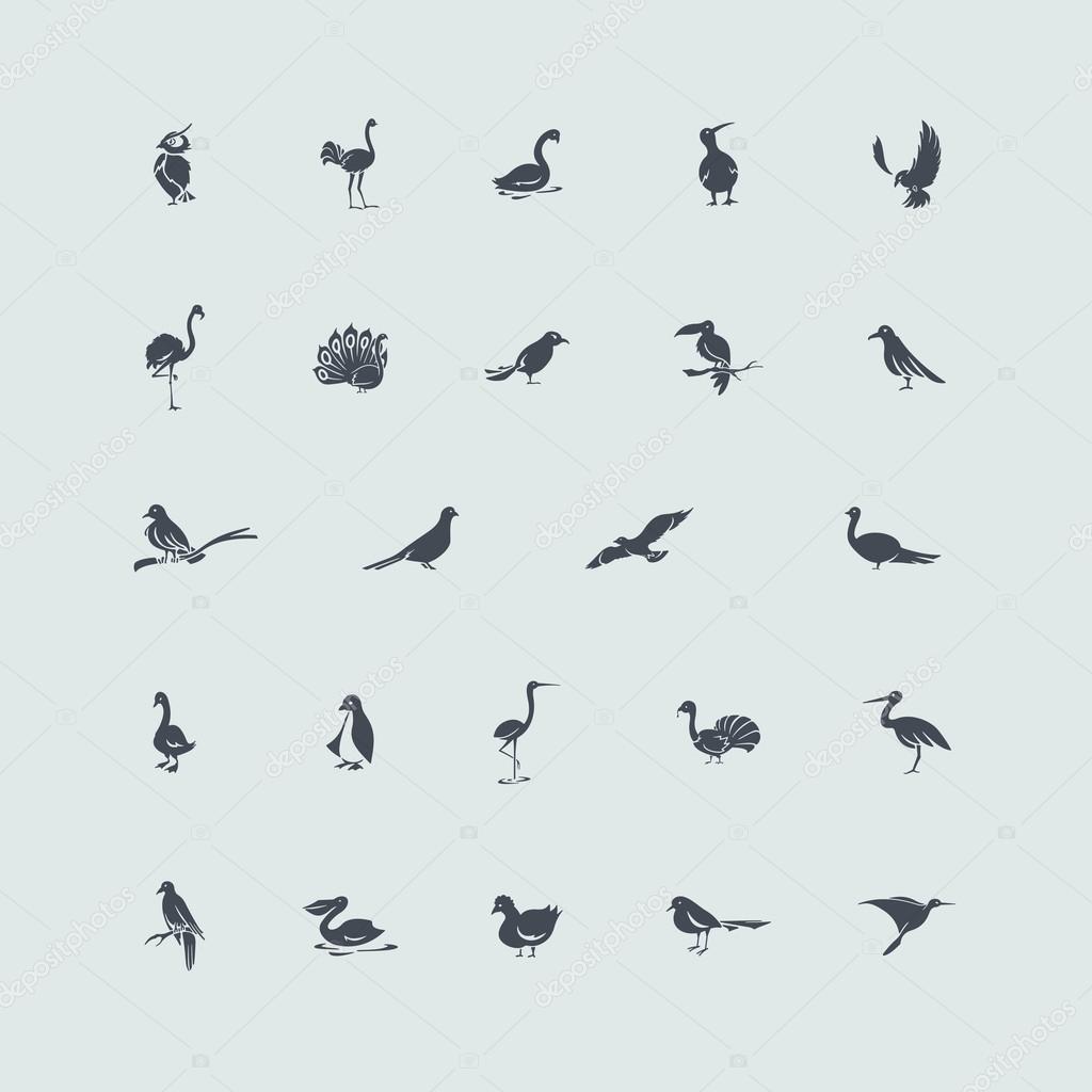 Set of birds icons