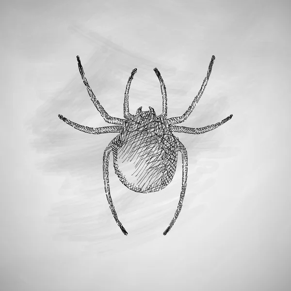 Icono de araña en pizarra — Vector de stock