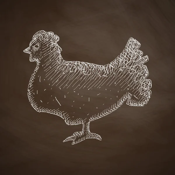 Icône poulet sur tableau — Image vectorielle