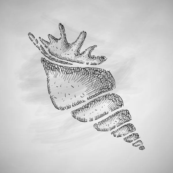 Icona shell disegnata a mano sulla lavagna — Vettoriale Stock