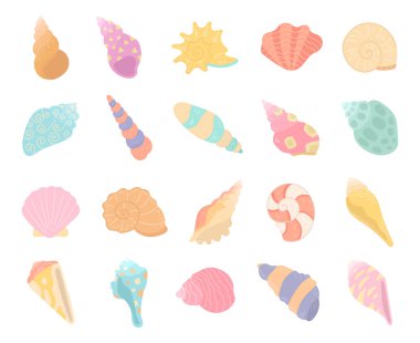 Deniz kabuğu deniz kabuğu şekilleri içeren İskandinav tarzı deniz kabuğu sahili doğası temalı görsel tasarım için mükemmel tasarlanmıştır.