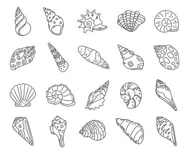 Okyanus kabuğu, deniz kabuğu şekilli özet sanat seti sahil sahili sahili doğası temalı görsel tasarım kullanımı için mükemmel tasarlandı.
