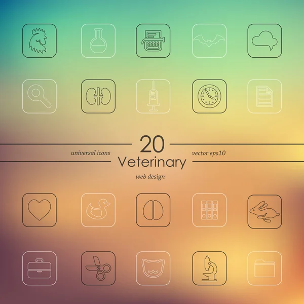 Комплект ветеринарных икон — стоковый вектор