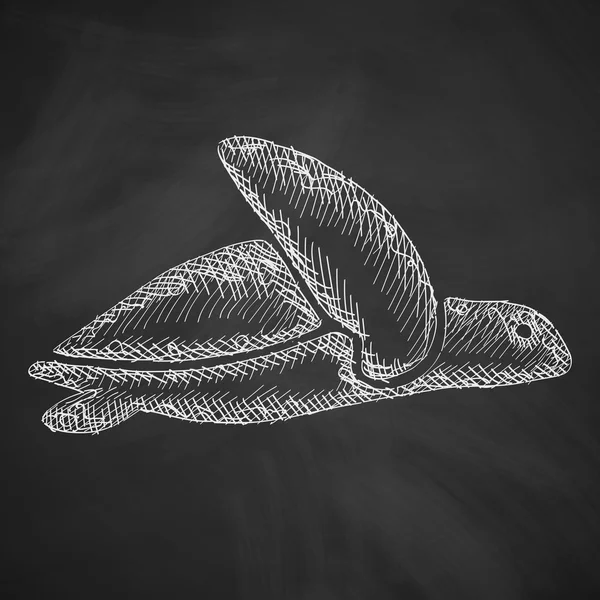 Ručně kreslená ikona želvy — Stockový vektor