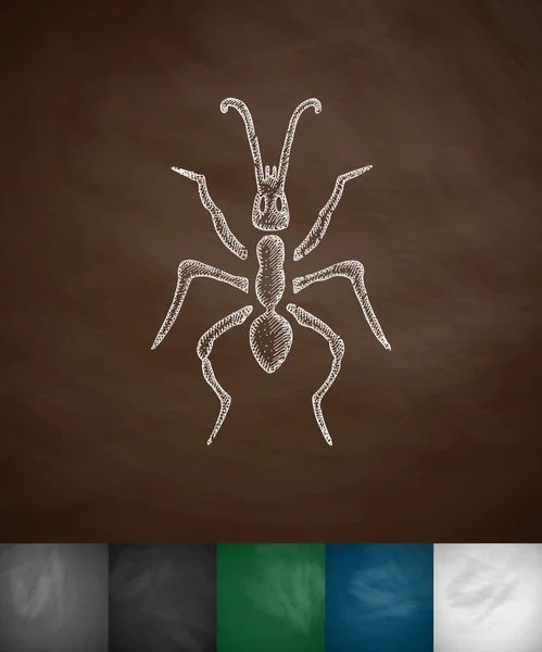 Pictogram van een hand getrokken ant — Stockvector