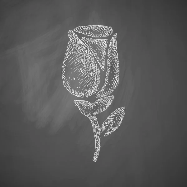 Kézzel rajzolt Rózsa ikon — Stock Vector
