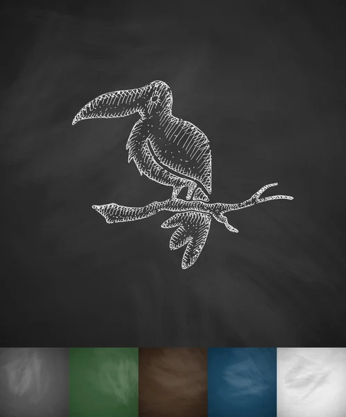 Χέρι συντάσσονται toucan εικονίδιο — Διανυσματικό Αρχείο