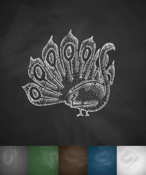 Hand drawn peacock icon — Stock Vector