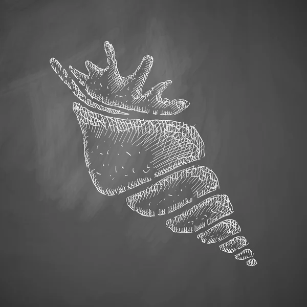 Handgezeichnetes Muschelsymbol — Stockvektor