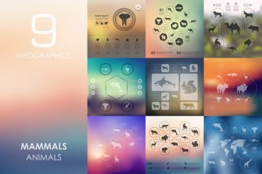 memeliler Infographic arka plan