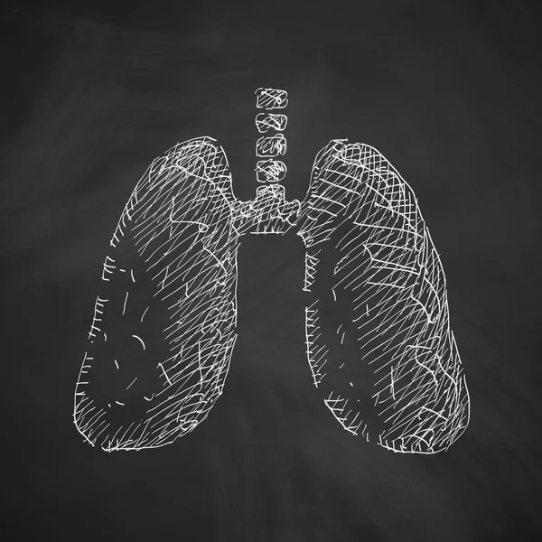 Hand drawn lung icon — Stock Vector