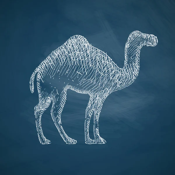Icona di cammello disegnata a mano — Vettoriale Stock