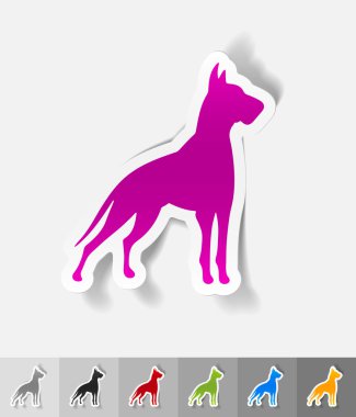 Danua kağıt etiket