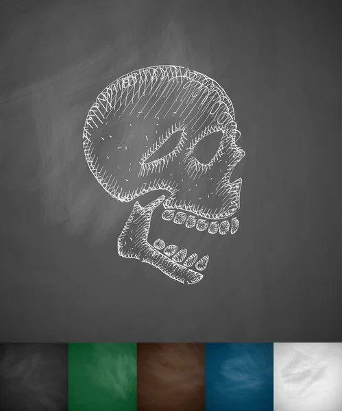 Röntgen av ikonen skalle — Stock vektor