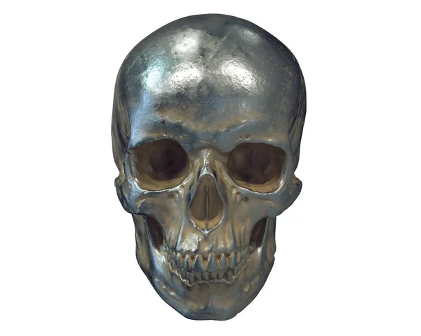 Metalik insan kafatasının beyaz arka planda izole edilmiş üç boyutlu çizimi