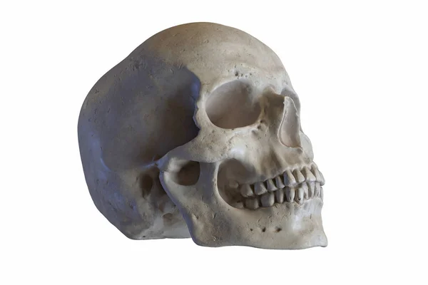 3D render márvány szobor emberi koponya elszigetelt fehér — Stock Fotó
