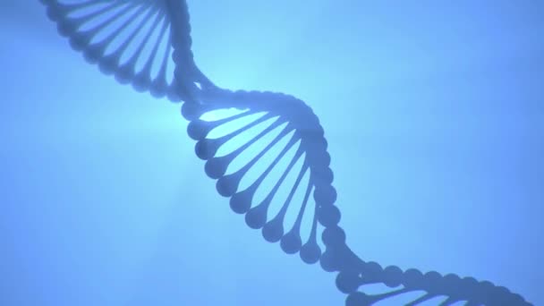 3D απόδοση looped animation της έλικας DNA γυρίζοντας γύρω στο μπλε φόντο — Αρχείο Βίντεο