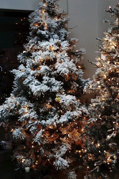 クリスマスツリー ロイヤリティフリーのストック写真