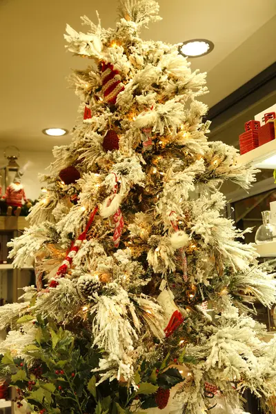 A árvore de Natal — Fotografia de Stock