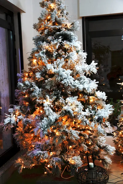 Το χριστουγεννιάτικο δέντρο — Φωτογραφία Αρχείου