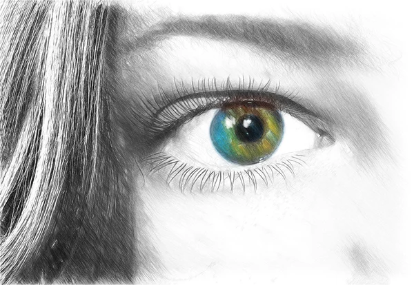 Female eye. Illustration in draw, sketch style