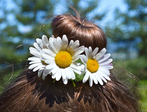 Ung flicka med håret i en bulle och kamomill. — Stockfoto