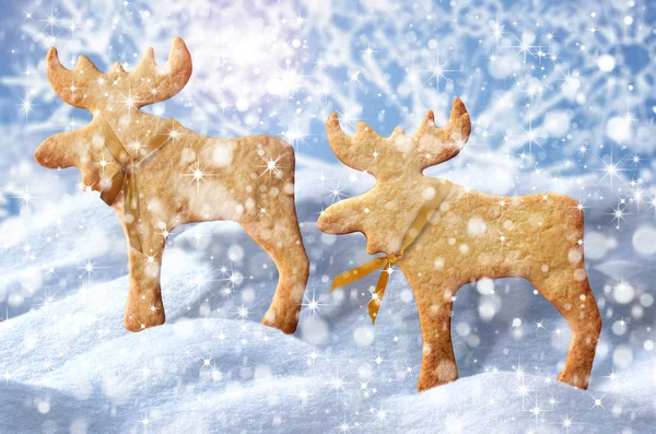 Gingerbread cookies on snow. — Stock Photo, Image