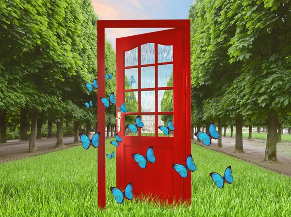 Open door in green garden and flying butterflies — Stock Photo, Image