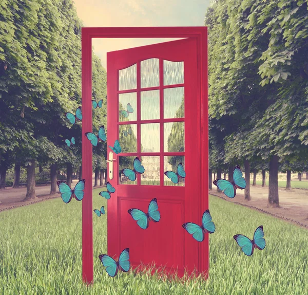 Porta aberta no jardim verde e borboletas voadoras — Fotografia de Stock