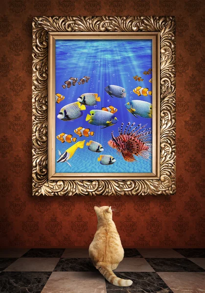 Cat looking at a portrait of a udewater picture  in a golden frame — Stock Photo, Image