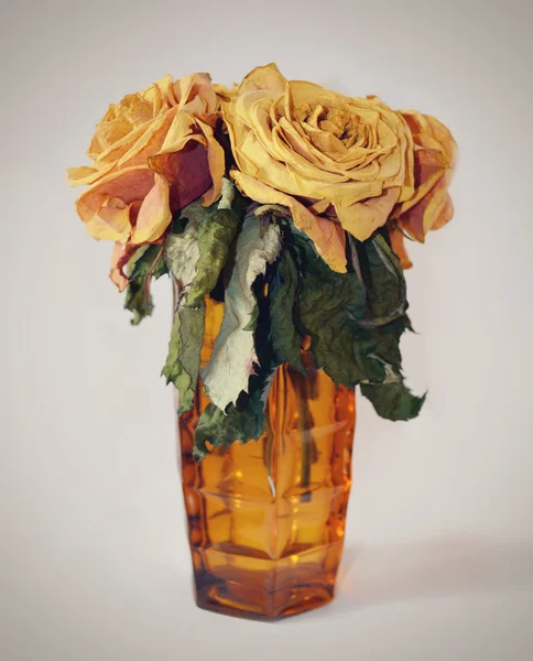 Welke Rosen in einer Vase — Stockfoto