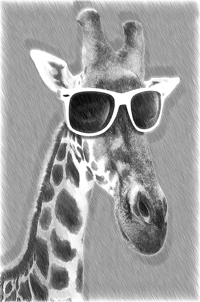 Retrato de uma girafa com óculos de sol hipster. Ilustração em sorteio — Fotografia de Stock