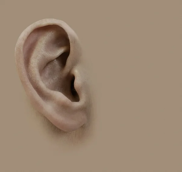 Human ear. Background