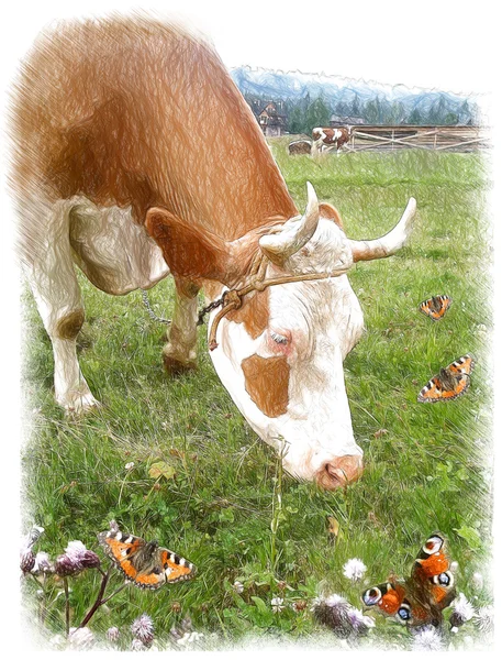 Αγελάδες για βοσκότοπο. Εικονογράφηση σε ισοπαλία, σκίτσο στυλ. Φωτογραφία Αρχείου