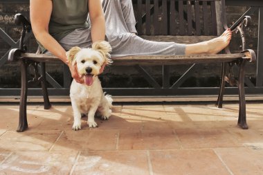 kadın ile köpek bir bankta