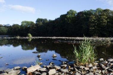 SilenX Nehri, Listowel, İrlanda