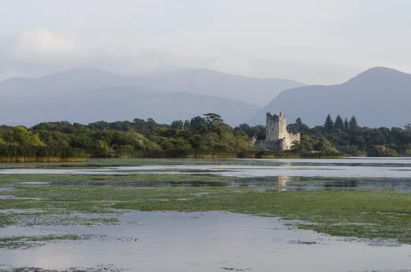 Ross castle, killarney, Irsko — Stock fotografie