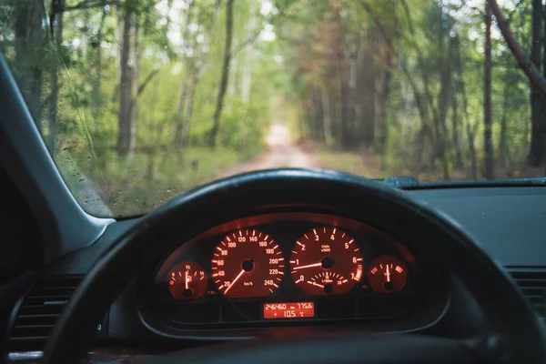 Roadtrip Wald Fahrersicht Mit Klassischem Kombiinstrument — Stockfoto