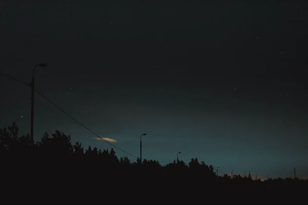 Dusk Sky Forest Silhouette Travel Shot Star Background — Stock Photo, Image