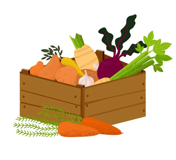 Scatola di verdure con verdure. Prodotti alimentari sani disegnati a mano. Vegani e vegetariani cibo, patate, lattuga, barbabietole — Vettoriale Stock