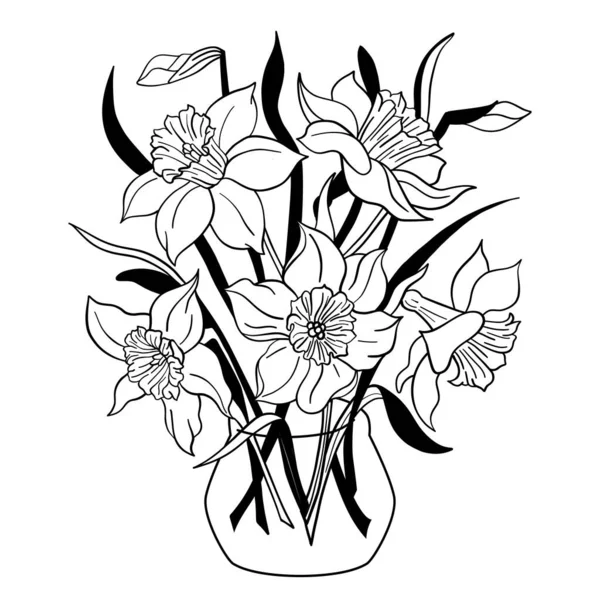 Vase de fleurs de Narcisse. Pot de fleurs de jonquille. Bouquet de printemps isolé contour. Illustration vectorielle noir et blanc. — Image vectorielle