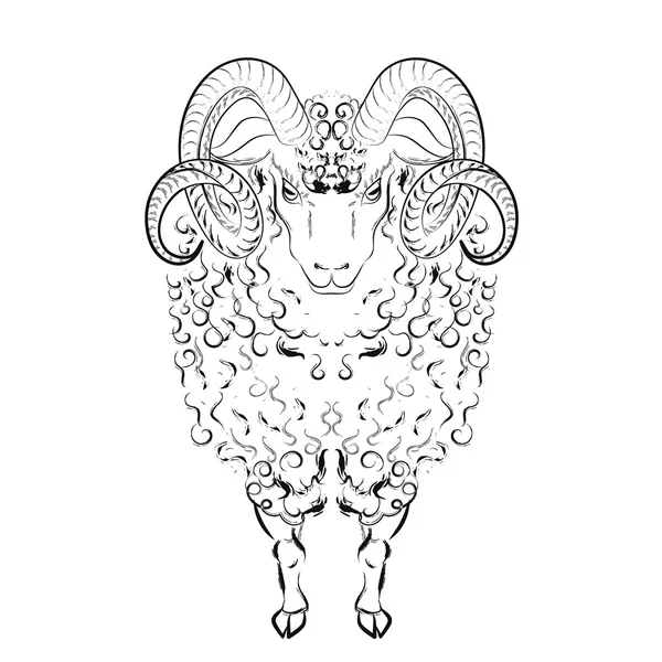 Schafe mit langen Wollhaaren und geschwungenen Hörnern. Vektorillustration — Stockvektor