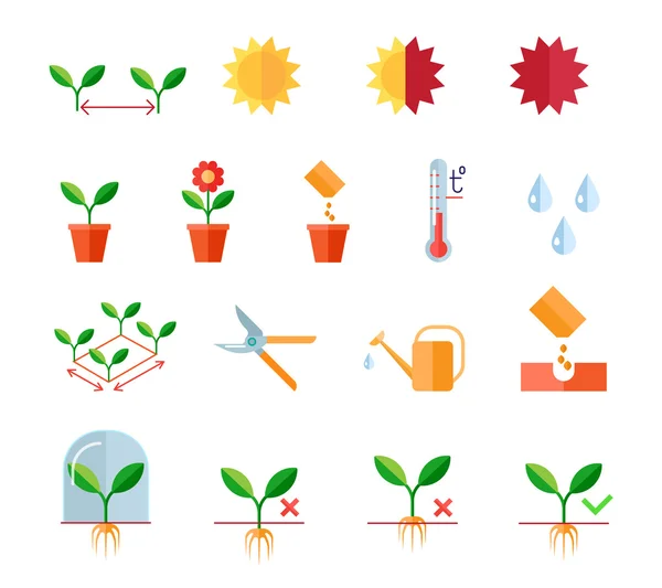 Instructions de semis et de plantation étapes, taille cisailles, arrosage des icônes plates ensemble — Image vectorielle