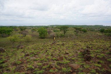 Dağın eteğinin altında birkaç ağaç olan plato bir zamanlar çorak bir yerdi.