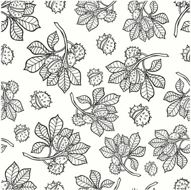 Desensiz kestane dalı kontur vektör çizimi sonbahar doğası kartpostal karalama eskiz desen duvar kağıdı arka plan