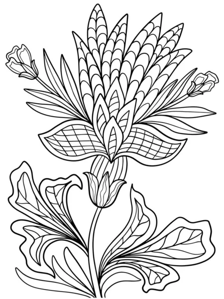 Flores Plantas Fantasía Para Colorear Libro Vector Ilustración Naturaleza Bosquejo — Vector de stock