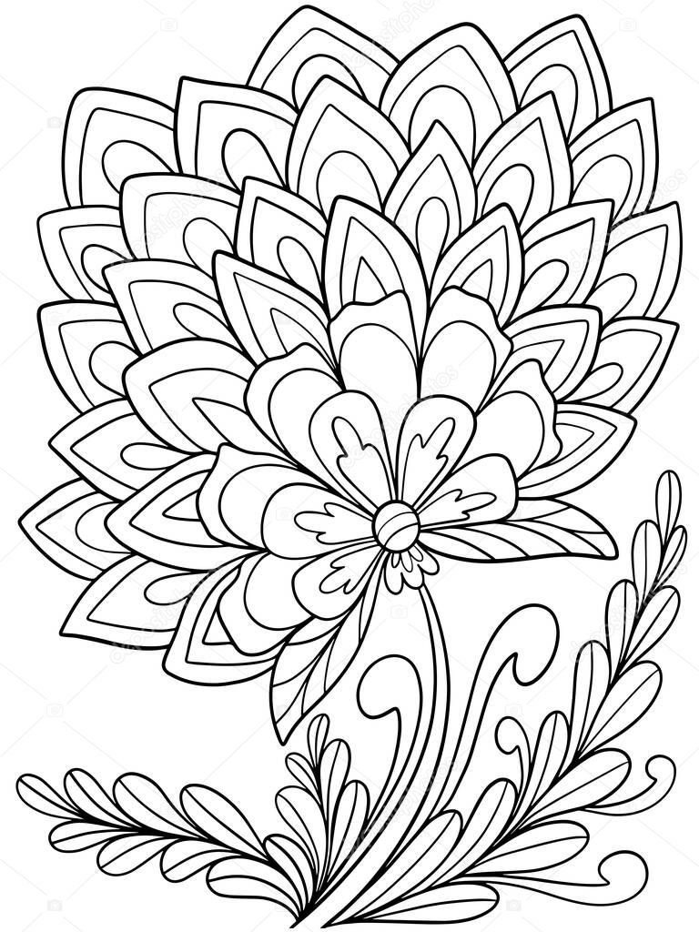 plants flower book coloring vector illustration nature sketch doodle hand drawing for kids and adults page postcard petals on white background