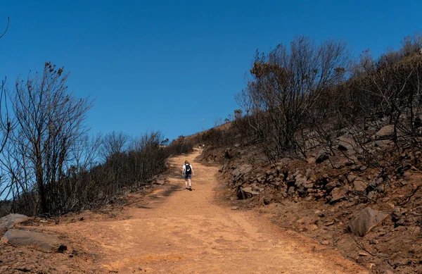 Yükselen Turist Aslanlar Dağları