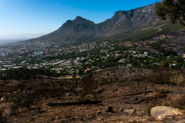 Aslanlardan Masa Dağı, orman yangınlarını takip eden dağın tepesinde.